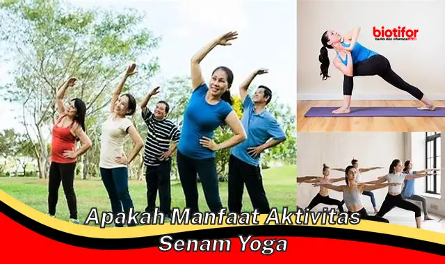 Temukan Manfaat Yoga yang Belum Anda Ketahui