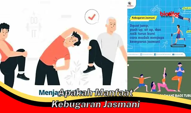 Temukan Manfaat Kesehatan Jasmani yang Jarang Diketahui