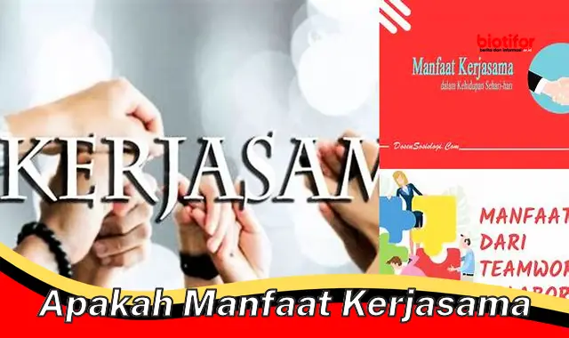 apakah manfaat kerjasama