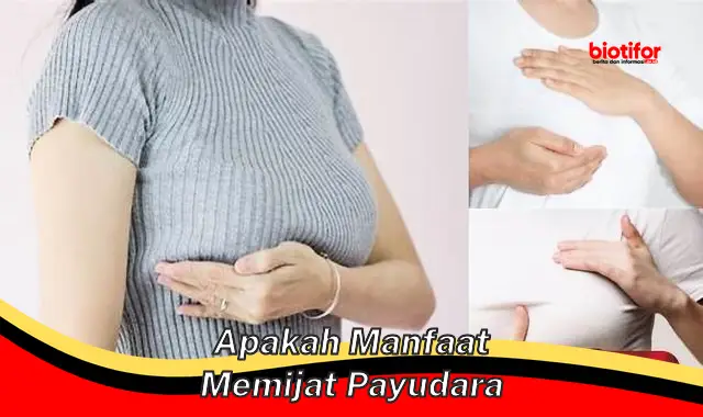 Temukan 5 Manfaat Pijat Payudara yang Jarang Diketahui