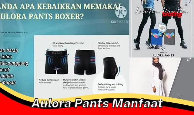 aulora pants manfaat