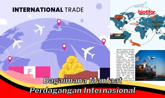 bagaimana manfaat perdagangan internasional