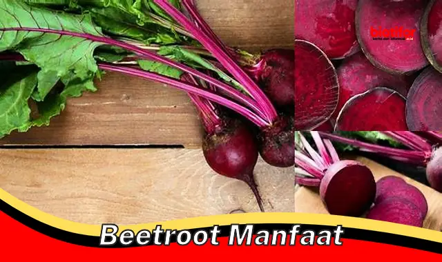 beetroot manfaat