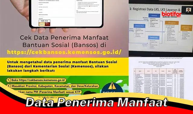 Temukan 5 Manfaat Data Penerima Manfaat yang Jarang Diketahui