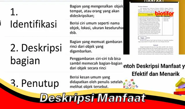 deskripsi manfaat