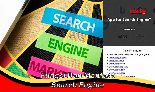 fungsi dan manfaat search engine