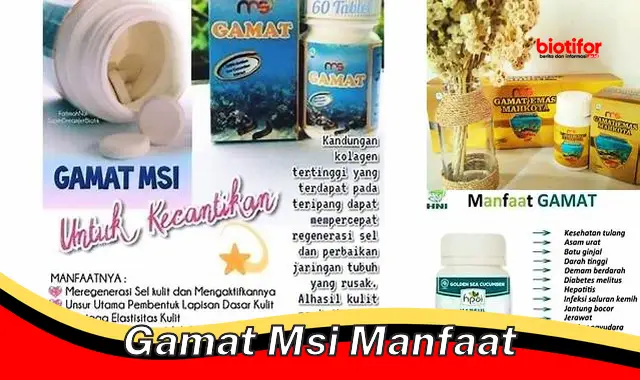 Temukan Manfaat Gamat MSI yang Jarang Diketahui