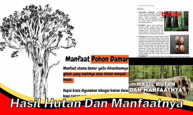 hasil hutan dan manfaatnya