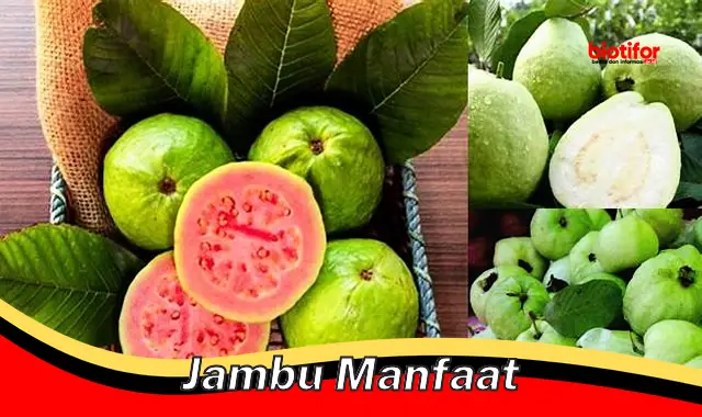 Temukan Manfaat Jambu yang Jarang Diketahui