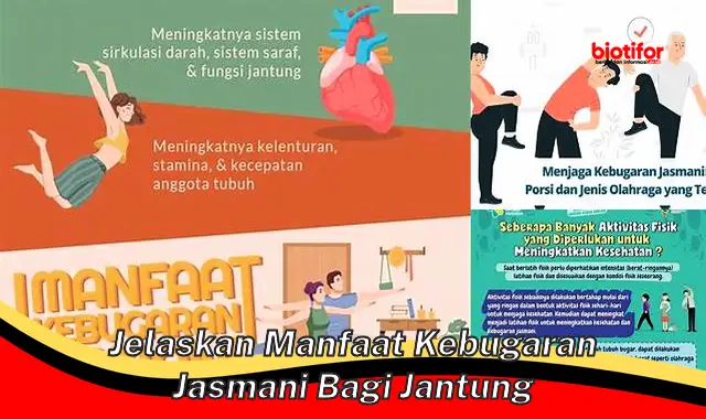 jelaskan manfaat kebugaran jasmani bagi jantung