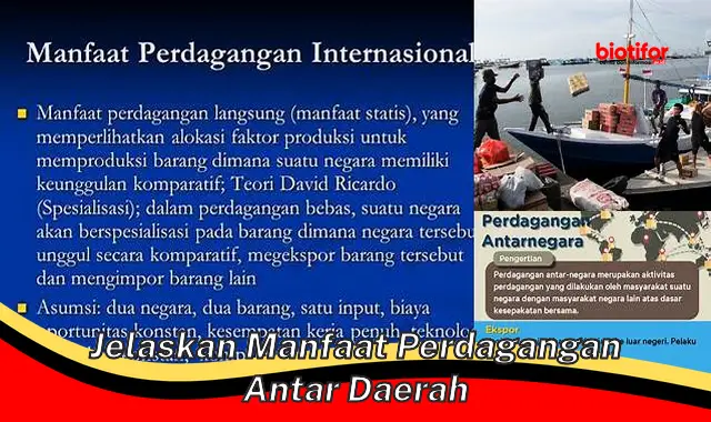 Temukan 5 Manfaat Perdagangan Antar Daerah!