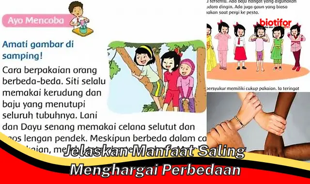 jelaskan manfaat saling menghargai perbedaan