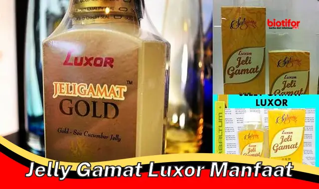 Temukan 5 Manfaat Jelly Gamat Luxor yang Jarang Diketahui