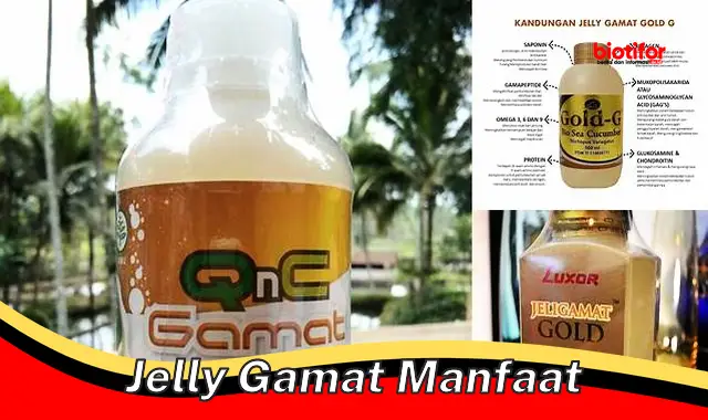 Temukan Manfaat Jelly Gamat yang Jarang Diketahui