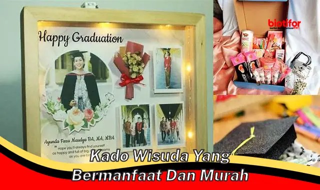 kado wisuda yang bermanfaat dan murah