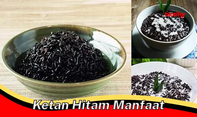 ketan hitam manfaat