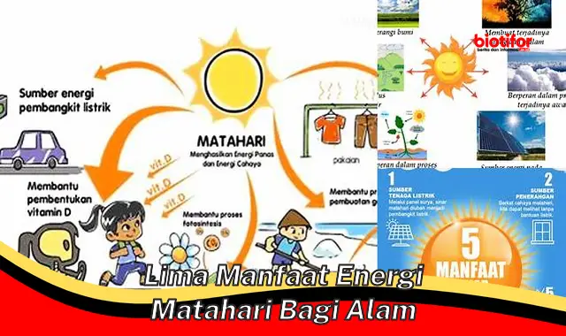 lima manfaat energi matahari bagi alam