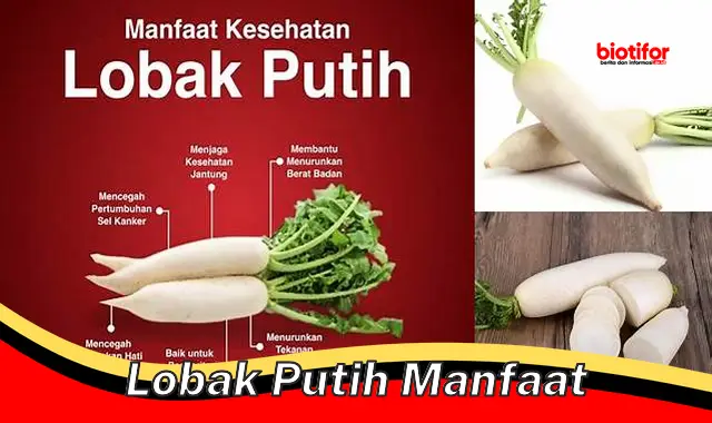 lobak putih manfaat