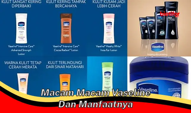 macam macam vaseline dan manfaatnya