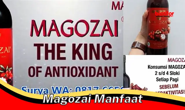 magozai manfaat