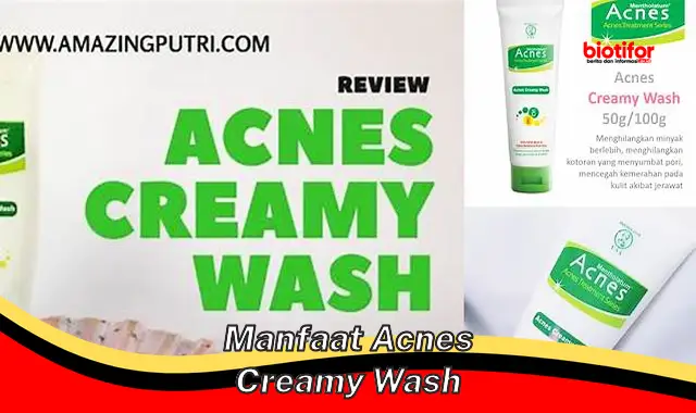 manfaat acnes creamy wash