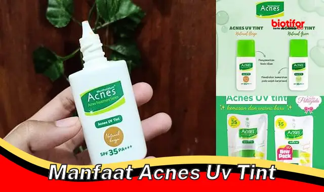 manfaat acnes uv tint