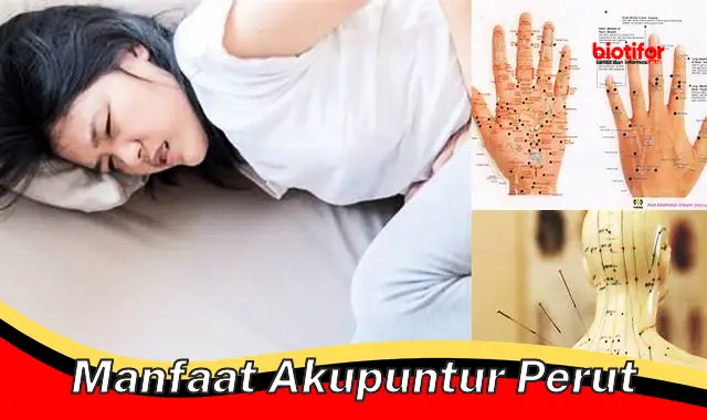 manfaat akupuntur perut