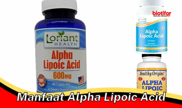 Temukan Manfaat Alpha Lipoic Acid yang Jarang Diketahui