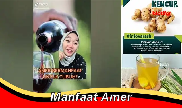 manfaat amer