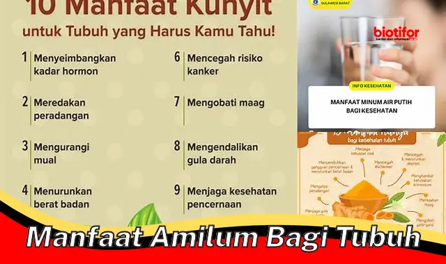 manfaat amilum bagi tubuh