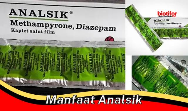 manfaat analsik