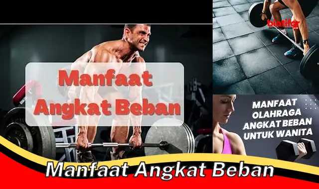 manfaat angkat beban