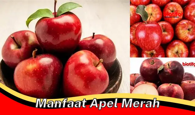 Temukan Manfaat Apel Merah yang Jarang Diketahui