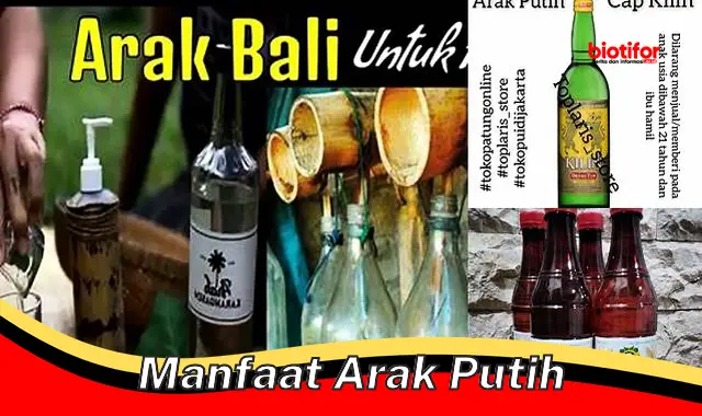 manfaat arak putih