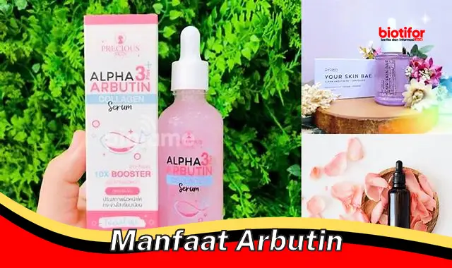 manfaat arbutin