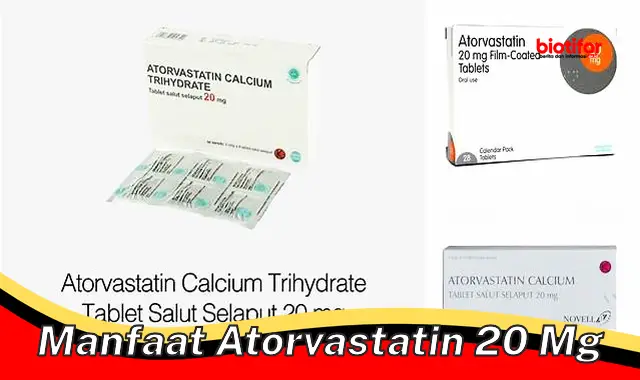 5 Manfaat Atorvastatin 20 Mg yang Perlu Anda Ketahui