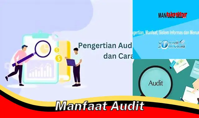 manfaat audit