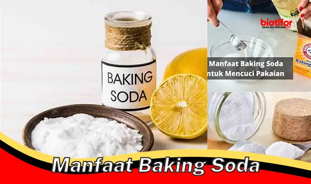 manfaat baking soda