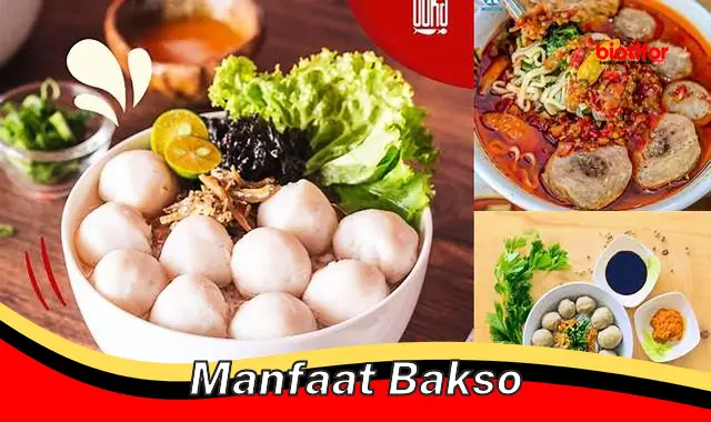 manfaat bakso