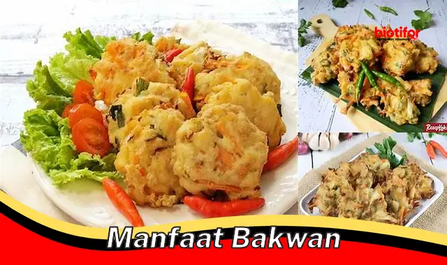 manfaat bakwan