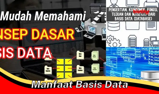 manfaat basis data