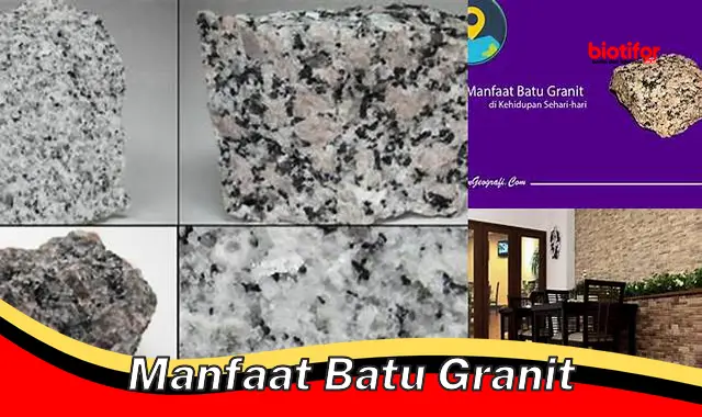 manfaat batu granit