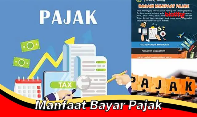 manfaat bayar pajak