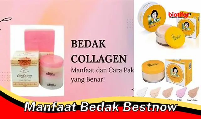 manfaat bedak bestnow