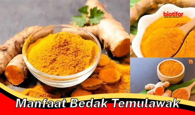 manfaat bedak temulawak