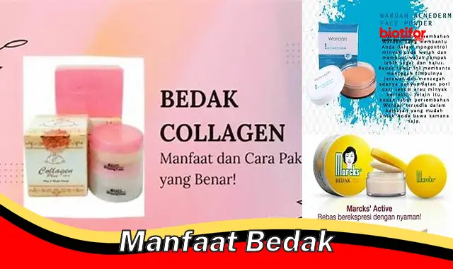 manfaat bedak