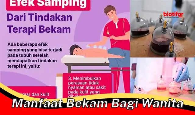 manfaat bekam bagi wanita