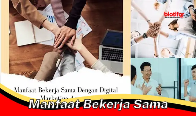 manfaat bekerja sama