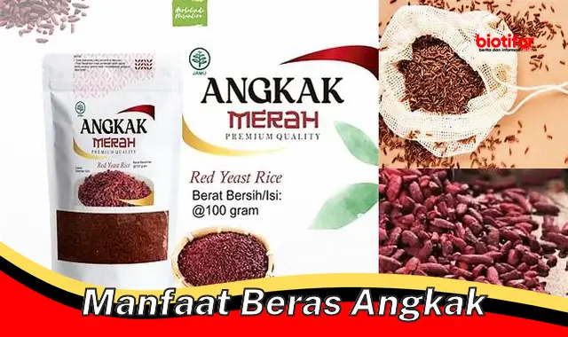 Temukan Manfaat Beras Angkak yang Jarang Diketahui