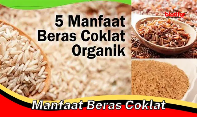 manfaat beras coklat